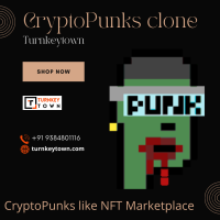 Launch CryptoPunks like NFT marketplace to be a Star in Crypto Realm